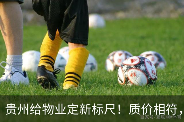 贵州给物业定新标尺！质价相符，11月20日前业主能提意见